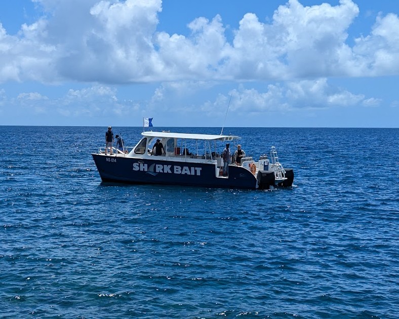 Sea Saba Boats