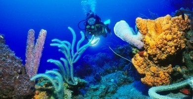Saba Diving