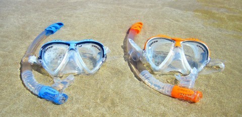 Best St Martin Snorkeling