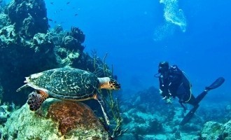 La Bulle - St Barts Diving