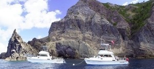 Sea Saba Boats